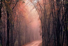 Cryptocurrency Market Analysis: Bitcoin's Next Move and Market Realities