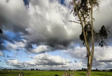 Cryptocurrency Market Analysis: Bitcoin's Next Move and Market Realities