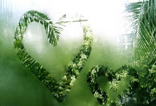 Cryptocurrency Market Analysis: Bitcoin's Next Move and Market Realities