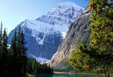 Cryptocurrency Market Analysis: Bitcoin's Next Move and Market Realities